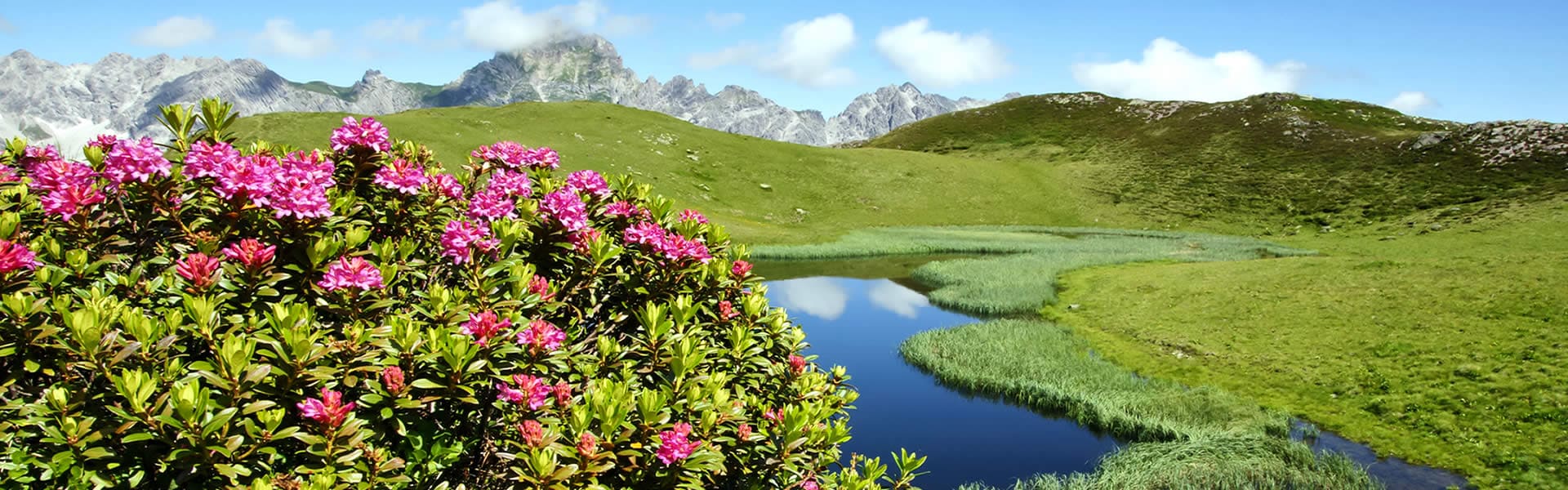 Natuur in het Montafon