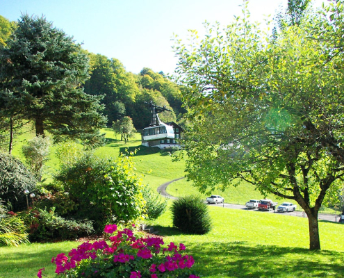 Spacious lawn for sunbathing in the middle of beautiful nature