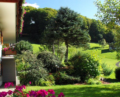 Grosszügige Liegewiese inklusive Gartenmöbeln